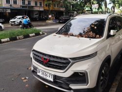 Mobil SUV Terparkir Berbulan-bulan di Tanjungpinang Ternyata Hasil Curian