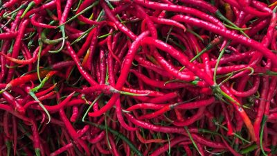 Pasokan Terbatas, Harga Cabai Merah di Meranti Tembus Rp95 Ribu per Kilogram