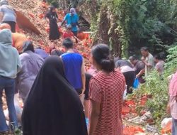 Warga Batam Berburu Bawang Gratis dari Gundukan Misterius di Jurang Tanjung Sengkuang