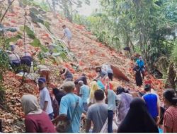 Polisi dan Bea Cukai Batam Selidiki Temuan Tumpukan Bawang di Batu Ampar