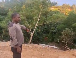 Usai Viral, PT BSS Bersihkan Lokasi Pembuangan Bawang di Sengkuang Batam