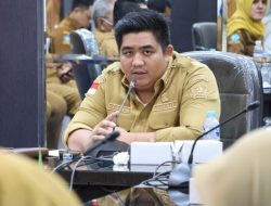 Bupati Bintan Roby Bahas Program MBG dan Percepatan Penurunan TBC Bersama Mendagri