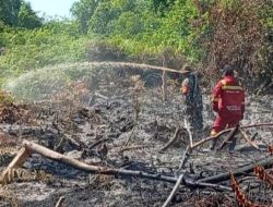 Satu Hektare Lahan Gambut di Kampar Terbakar, Cuaca Panas Ekstrem Perparah Kondisi