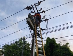 Layang-Layang dan Pohon Tumbang Jadi Pemicu Pemadaman Listrik di Tanjung Piayu