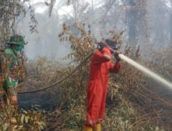 Karhutla Kembali Landa Riau, Enam Titik Api Muncul di Empat Kabupaten