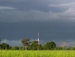 Cuaca Riau Hari Ini Didominasi Cerah Berawan, Hujan Masih Berpeluang Turun