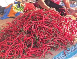 Inflasi Batam Naik, Emas dan Cabai Merah Jadi Penyumbang Terbesar