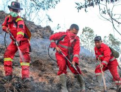 Karhutla di Riau Kian Terkendali, Tersisa di Tiga Kabupaten