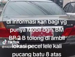 Mobil Dinas Viral di Warung Pecel Lele Ternyata Aset Sekretariat Dewan Bintan