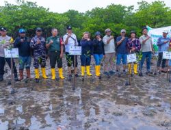 PT BSP Gandeng Masyarakat dan Karang Taruna Tanam Mangrove di Pulau Ngenang