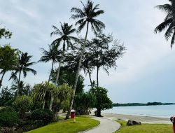 Kawasan Wisata Lagoi Kian Hidup