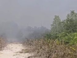 Asap Karhutla di Kampar Picu Warga Terkena ISPA