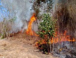 Titik Panas di Riau Mencapai 127