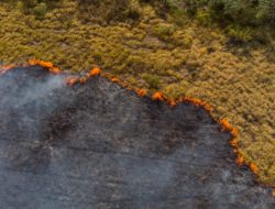 66 Titik Panas Terpantau di Riau, Didominasi dari Kecamatan Pinggir Bengkalis