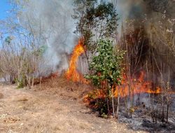 Riau Catat 55 Titik Panas, Tertinggi di Sumatera