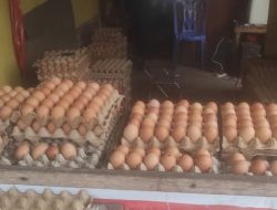 Kenaikan Harga Telur di Batam Disebabkan Kontrol Pemasok Besar