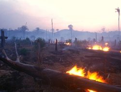 Hujan Bantu Pemadaman Karhutla di Riau