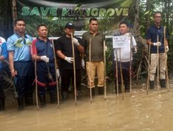 Nelayan hingga Komunitas Berkolaborasi dengan PSDKP Tanam Mangrove