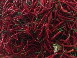 Harga Cabai Merah di Batam Melonjak Jelang Akhir Tahun