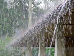 Hujan Masih Mendominasi Cuaca Riau Sepanjang Hari Ini