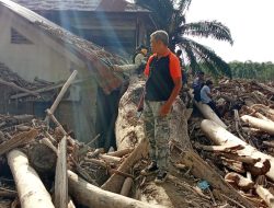 Krisis Hutan Aceh Tamiang, Laju Deforestasi Picu Ancaman Banjir Bandang Berulang