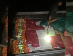 Kapal dari Pelabuhan Pak Ali Sungai Harapan Ditangkap Karena Bawa Barang Tanpa Dokumen