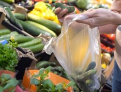 Pekabaru Resmi Larang Kantong Plastik di Semua Sektor Usaha