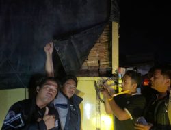 Warga Sijunjung Ditangkap Saat Angkut Kayu Ilegal di Kuansing
