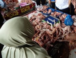 Harga Sembako di Pekanbaru Relatif Stabil Jelang Nataru