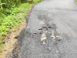 Belum Sebulan, Proyek Pemeliharaan Jalan Majalangu-Gapura Pemalang Senilai Rp399 Juta Sudah Mengelupas