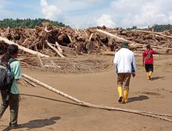 Pembalakan Hutan hingga Terjadinya Banjir Bandang: Hutan Gundul, Rakyat Terpukul
