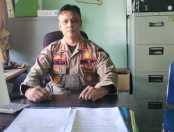 Hewan Ternak Berkeliaran di Kota Sinabang, Pemerintah Diminta Tegakkan Qanun