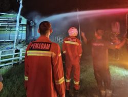 Kebakaran Hanguskan Kantor Desa Ana’o, BPBD Simeulue Lakukan Penanganan Cepat