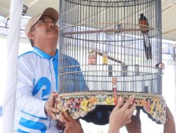 Bupati Tanjab Barat Buka Kicau Mania UAS Cup Berkah Madani 2026