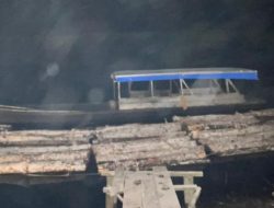 Praktik Illegal Logging di Bengkalis Terbongkar, Tiga Orang Ditangkap