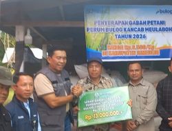 Bupati Simeulue Bersama Kepala Bulog Meulaboh Luncurkan Sergab Gabah Petani 2026