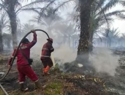 Pemprov Riau Tetapkan Status Siaga Darurat Karhutla hingga 30 November 2026