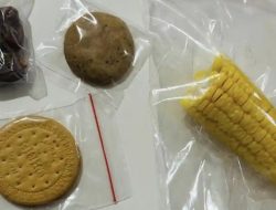 MBG di Batam Dikritik, Isi Paket Hanya Kurma, Biskuit dan Jagung