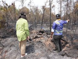 Tinjau Kebakaran Hutan, Ariastuty Imbau Masyarakat Waspadai Setiap Tindakan
