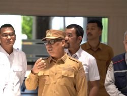 Wagub Kepri Tinjau Pelabuhan dan Bandara, Pastikan Kesiapan Arus Mudik
