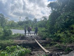 Jembatan Kayu Hanyut Diseret Banjir di Suak Lamatan, Pemkab Simeulue Siapkan Penanganan Darurat