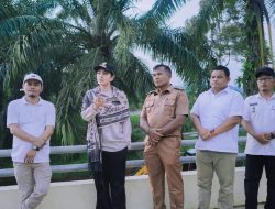 Pastikan Jembatan Batang Mimpi Kokoh, Bupati Annisa Tinjau Pemasangan Bronjong di Sikabau