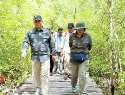 Wabup Katamso Sambut Tim Verifikasi Kementerian Kehutanan di Mangrove Pangkal Babu