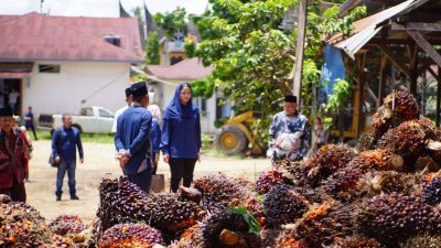Lindungi Petani, Bupati Dharmasraya Peringatkan PKS soal Sanksi UU Persaingan Usaha Tidak Sehat