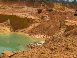 BP Batam Pulihkan Bekas Tambang Pasir Ilegal, Perusak Lingkungan Akan Diberi Sanksi Tegas
