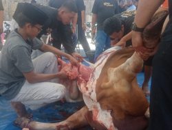 Masjid Al Ikhlas BNR Tiban Sembelih 15 Sapi dan 32 Kambing