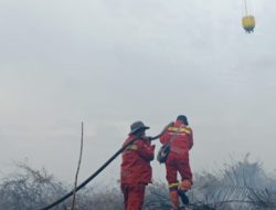 Karhutla Hanguskan Delapan Hektare Lahan di Inhu, Pemadaman Terus Dilakukan