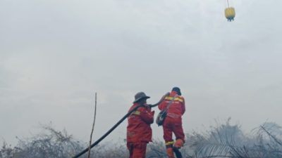Karhutla Hanguskan Delapan Hektare Lahan di Inhu, Pemadaman Terus Dilakukan