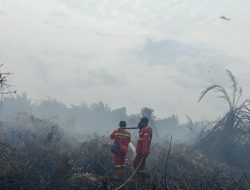 Karhutla di Rengat Mulai Terkendali, Sekip Hilir Tinggal Sisakan Asap Tipis
