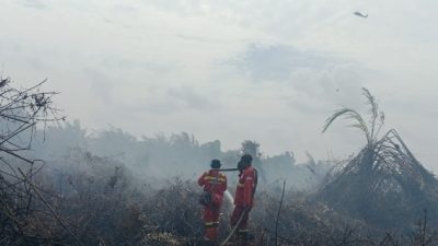 Karhutla di Rengat Mulai Terkendali, Sekip Hilir Tinggal Sisakan Asap Tipis